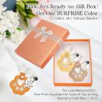 6 Pcs Pet Fur Memory Keychain Set