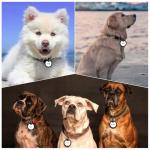 10 Pack Black Dog Tag Silencers with Chains