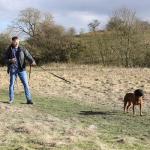 15ft Heavy-Duty Dog Training Leash