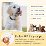 6 Pcs Pet Fur Memory Keychain Set