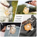 6 Pcs Pet Fur Memory Keychain Set