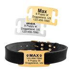 Personalized Slide On Pet ID Tags, Custom Engraved Martingale Dog & Cat Silent No Jingle Paw Tags, No Noise Stainless Steel Gold & Silver Collar Name Tags