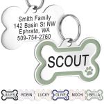 GoTags Stainless Steel Pet ID Bone Round and Heart Shaped Tags with Enamel Paw Design, Personalized Dog and Cat Tags, up to 5 Lines of Custom Text, Engraved on Both Sides (Sage, Regular Bone)