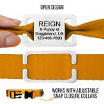 Personalized Slide On Pet ID Tags, Custom Engraved Martingale Dog & Cat Silent No Jingle Paw Tags, No Noise Stainless Steel Gold & Silver Collar Name Tags