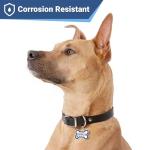 GoTags Stainless Steel Pet ID Bone Round and Heart Shaped Tags with Enamel Paw Design, Personalized Dog and Cat Tags, up to 5 Lines of Custom Text, Engraved on Both Sides (Sage, Regular Bone)