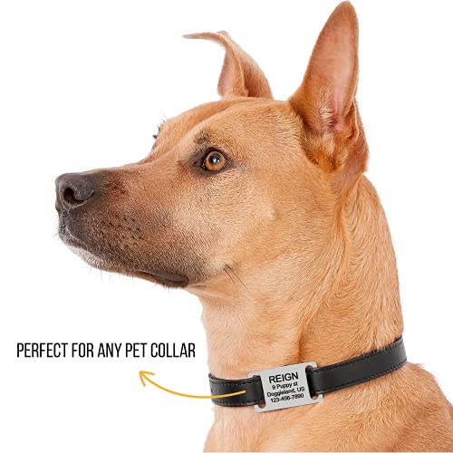 Personalized Slide On Pet ID Tags, Custom Engraved Martingale Dog & Cat Silent No Jingle Paw Tags, No Noise Stainless Steel Gold & Silver Collar Name Tags