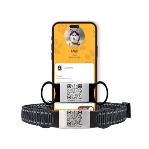 Smart Slide-On QR Code Pet Tag – Silent Dog & Cat ID Tag with Laser Engraving – Stainless Steel & Silicone – No App Needed – Custom Pet Profile – Fits Most Collars (Black, Extra Large)