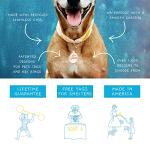 Custom Epilepsy Medical Alert Pet ID Tag