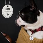 MYLUCKYTAG Personalized Stainless Steel QR Code Pet ID | Dog & Cat Collar Tag | Online Profile | Scanned Location Alert Email | Durable & Waterproof
