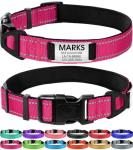Personalized No-Jingle Dog Collar with Name Tag