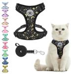 BEAUTYZOO Cat Harness and Leash Set for Walking Escape Proof, Neck Release Adjustable Harness for Kitten Puppy Small Medium Large Cats, Soft Cute Easy Control Small Cat Harness for Cats Boy and Girls