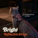 Dooradar Cat Harness and Leash Set, Escape Proof Safe Adjustable Kitten Vest Harnesses for Walking, Easy Control Soft Breathable Mesh Jacket with Reflective Strips for Cats, Pink, XS