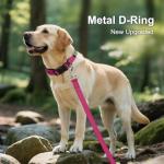 Personalized No-Jingle Dog Collar with Name Tag