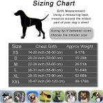 Custom Dog Harness, Personalized No Pull Pet Vest with Name and Phone Number Tag for Small Medium and Large Breed(Camouflage Rose,XS)