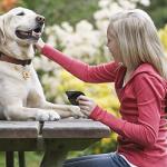 Custom Engraved Emotional Support Animal (ESA) and Service Dog & Cat ID Tag, Customized Info Engraved on Stainless Steel Tag for Therapy Pets, Personalized Laser Engraved Dog Collar Tag