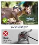 Halypet Cat Harness and Leash Set, 3-in-1 Adjustable & Lightweight, Escape-Proof, Comfortable Soft Kitten Harness for Large Cats, Safe, Easy to Wear, Outdoor Walking Travel
