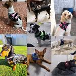 Custom Dog Harness, Personalized No Pull Pet Vest with Name and Phone Number Tag for Small Medium and Large Breed(Camouflage Rose,XS)