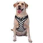 Custom No Pull Dog Harness, Soft Personalized Add Your Photo Pictures Vest Harness with Pet Name Phone Number for Small Medium Large Dog Puppy Pets