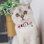 QR Code Breakaway Cat Collar with Instant Location Alerts - Leather Safety Collar with Bell & Smart ID Tag for Small and Big Cats, Emergency Contact Scan via QR (Black)