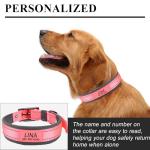 Personalized Metal Belt Buckle Dog Collar,Wide Heavy Duty Custom Dogs Name & Phone Number,Soft Neoprene Padding Adjustable Reflective Pet Collars for Large,Medium,Small Dogs,Purple