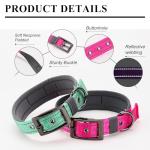 Personalized Metal Belt Buckle Dog Collar,Wide Heavy Duty Custom Dogs Name & Phone Number,Soft Neoprene Padding Adjustable Reflective Pet Collars for Large,Medium,Small Dogs,Purple