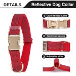CHRYMPETIC Nylon Personalized Pet Collar with Name, Customizable Laser-Engraved, Ultra-Reflective Dot Design, Durable Metal Buckle for Dogs and Cats - Matching Leash Available (Black)