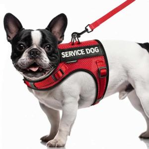 FAYOGOO Service Dog Vest for Small Dogs - Breathable Air Mesh Service Dog Harness with Leash & 6 Patches, Adjustable No-Choke Design for Walking, Travel & Public Access