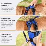 Juqiboom No Pull Dog Harness with A Free Heavy Duty 5ft Dog Leash, Adjustable Soft Padded Dog Vest, Reflective No-Choke Pet Oxford Vest with Easy Control Handle for Small and Large Dogs (Blue, Medium)