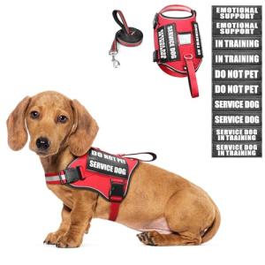 WINSEE Small Dog Harness & Leash Set, Red, X-Small, Nylon, Emotional Support Therapy Vest with 10 Patches, Breathable, Adjustable, for Service Dog Training