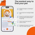 ilFindYou 2 Pack Breakaway Cat Collar with Safety Bell & Reflective Strips | QR Code ID Tag & Name Plate | Adjustable for Kittens Black&Pink