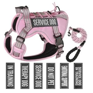 Service Dog Tactical Vest Harness and Leash Set Medium Sized Dog Emotional Support- Tactical Dog Harness Training Collar with Name (Pink, M)