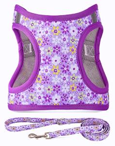 Moonpet Step in Dog Harness Leash Set- All Weather Reflective No-Pull Floral Pattern Padded Mesh Vest Harness for Cats Puppy Extra-Small Small Medium Large Dogs - Purple Flower - S