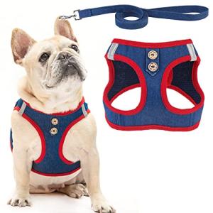 PUPTECK Dog Harness and Leash Set for Small Medium Dogs No Pull Step-in Soft Mesh Puppy Cat Vest Harnesses Reflective at Night, Denim NavyBlue S