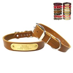 Warner Sporting Cumberland Leather Dog Collar with Engraved Brass ID Tag USA (23" Fits 17-21" Neck, Golden Tan)