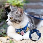 Personalized Glitter Pet ID Tags with Paw Print