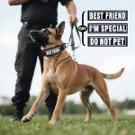 Comfluxe AirTag Dog Collar, 2" Wide Tactical Military Dog Collar with AirTag Holder & 3 Pet Patches, Soft Padded Reflective Waterproof Nylon Collar with Metal Buckle for Large Dogs (Black, L)