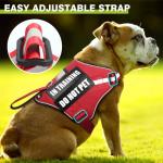 WINSEE Small Dog Harness & Leash Set, Red, X-Small, Nylon, Emotional Support Therapy Vest with 10 Patches, Breathable, Adjustable, for Service Dog Training