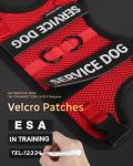 FAYOGOO Service Dog Vest for Small Dogs - Breathable Air Mesh Service Dog Harness with Leash & 6 Patches, Adjustable No-Choke Design for Walking, Travel & Public Access