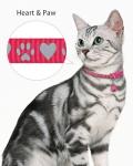 Personalized Reflective Breakaway Cat Collar with ID Tags