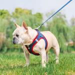 PUPTECK Dog Harness and Leash Set for Small Medium Dogs No Pull Step-in Soft Mesh Puppy Cat Vest Harnesses Reflective at Night, Denim NavyBlue S