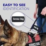ActiveDogs Bridge Handle for Service Dog Vest & Harnesses - Assistance Dog Handle with Reinforced Nylon, Heavy Duty Metal Clips & Service Dog ID Band - Black 12"