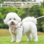 AIITLE Tiny Dog Harness - Lightweight Mesh Step-in Vest for Puppy, Reflective & Escape-Proof Design with High-Stick Magic Tape - Indoor/Outdoor Use for Chihuahua, Maltese, Shih Tzu(Pink, XXXS)