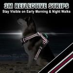 BARKBAY No Pull Dog Harness Large Reflective Dog Harness with Front Clip and Easy Control Handle for Walking Training Running with ID tag Pocket(Pink/Black,L)