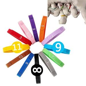 WXYINSPAS Newborn Puppy ID Collars with Numbers - Dog Kitten Collar - 3 Adjustable Sizes of Personalized Collars for Small Medium Large Whelping Dogs - Assorted Colors, Whelping Supplies (12pcs-M)