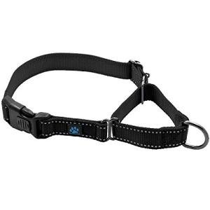 Max and Neo Nylon Martingale Collar - We Donate to a Dog Rescue for Every Collar Sold (Small, Black)