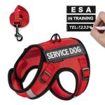 FAYOGOO Service Dog Vest for Small Dogs - Breathable Air Mesh Service Dog Harness with Leash & 6 Patches, Adjustable No-Choke Design for Walking, Travel & Public Access