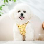 Step in Dog Harness and Leash Set, Flower Adjustable Easy Walk Puppy Harnesses, Soft Mesh Pet Vest Harness Small Size Dog Adjustable No Pull Dog Harness for Small Medium Dogs(Bee, M)