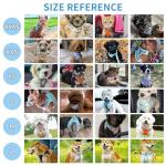 AIITLE Tiny Dog Harness - Lightweight Mesh Step-in Vest for Puppy, Reflective & Escape-Proof Design with High-Stick Magic Tape - Indoor/Outdoor Use for Chihuahua, Maltese, Shih Tzu(Pink, XXXS)