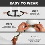 Didog Step in Dog Harness with Metal Buckles, Freedom Nylon Dog Halter Vests for Small Dogs Easy Walking Training(S:Chest 13-22", Black)