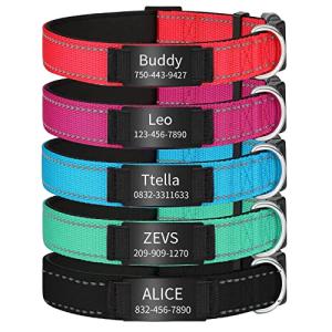 Personalized Reflective Dog Collars,Custom Engraved Stainless Steel Name Plate ID Collar Padded Pet Collar 4 Adjustable Sizes X-Small Small Medium Large (Black ID Tag)